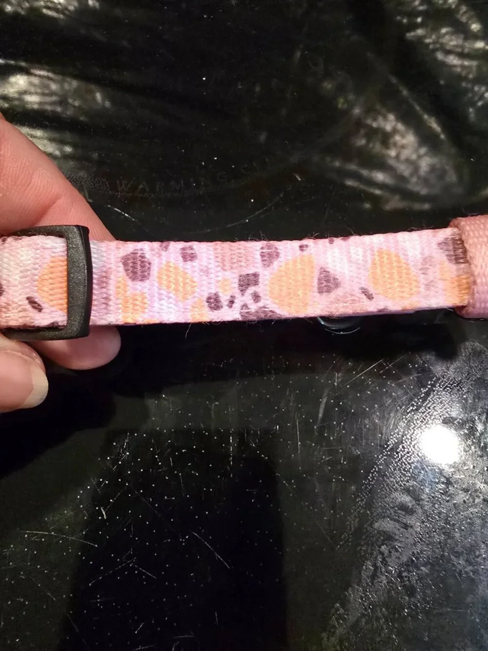 Pink Small Dog Harness Vibrant Life Dog Leash Sassy Woof NEW